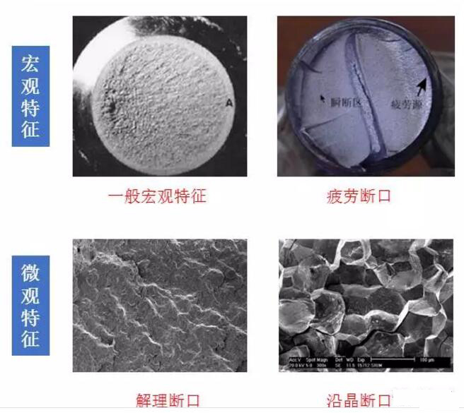 1503301716588325.jpg duanlie.jpg