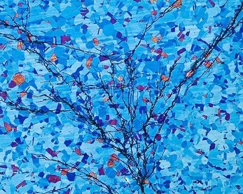 1509672519828368.jpg 5.jpg