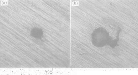 1513738279159309.jpg 電化學.jpg