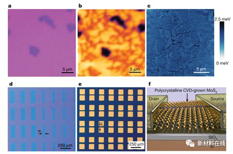 《自然》《科學》一周（2.19-2.25）材料科學前沿要聞