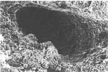 1523239914819719.jpg 5.jpg