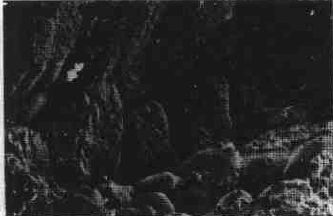 1523239930359732.jpg 7.jpg