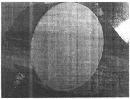 1523239966227666.jpg 12.jpg