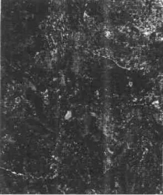 1523240193369036.jpg 17.jpg