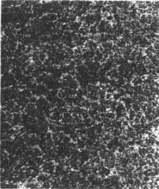 1523240200297595.jpg 18.jpg