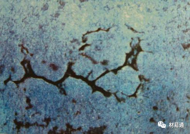 1527557855501543.jpg 19.jpg