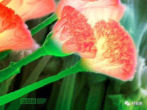 1529460087622279.jpg 4.jpg