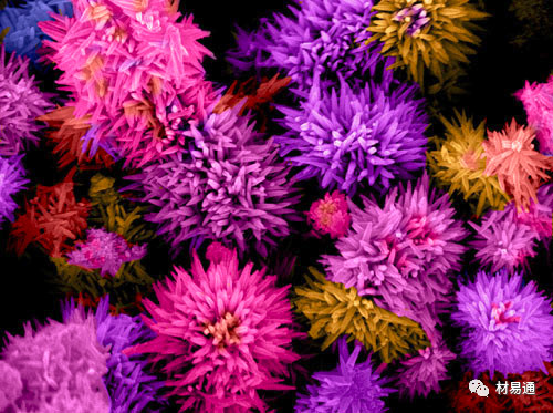 1529460097387408.jpg 5.jpg