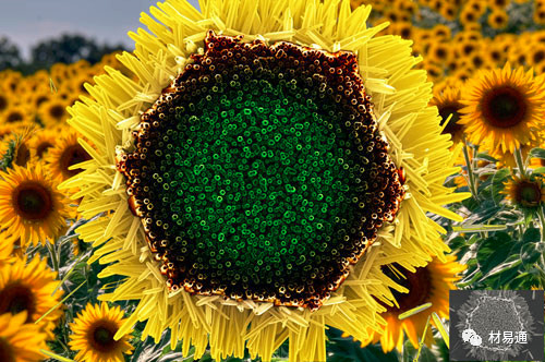 1529460110528958.jpg 7.jpg