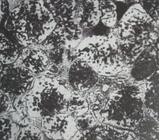 1665539733847748.jpg 2.jpg